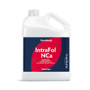 IntraFol NCa